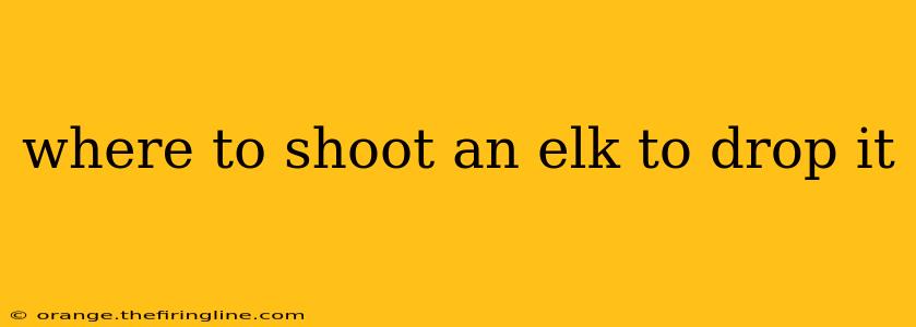 where to shoot an elk to drop it