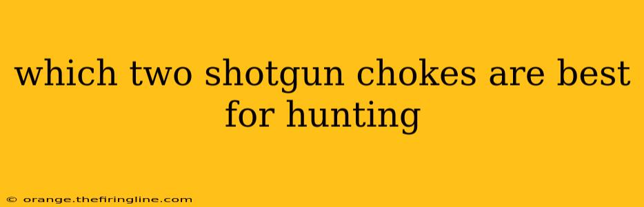 which two shotgun chokes are best for hunting