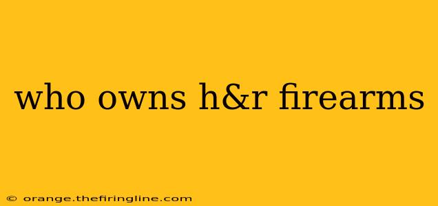 who owns h&r firearms