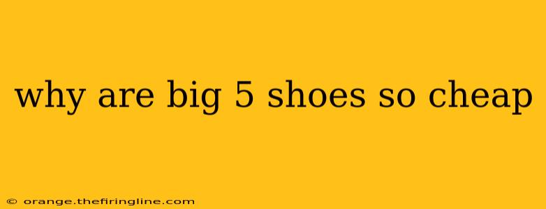 why are big 5 shoes so cheap