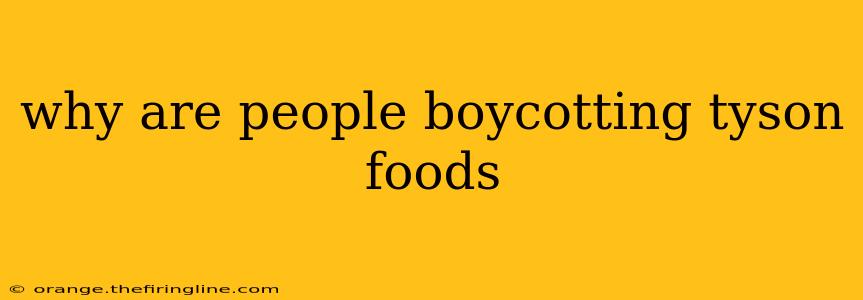 why are people boycotting tyson foods