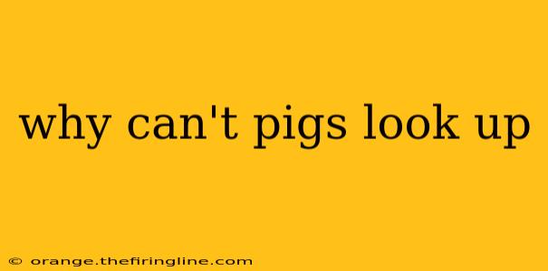 why can't pigs look up