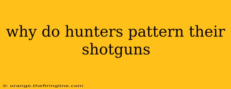 why do hunters pattern their shotguns