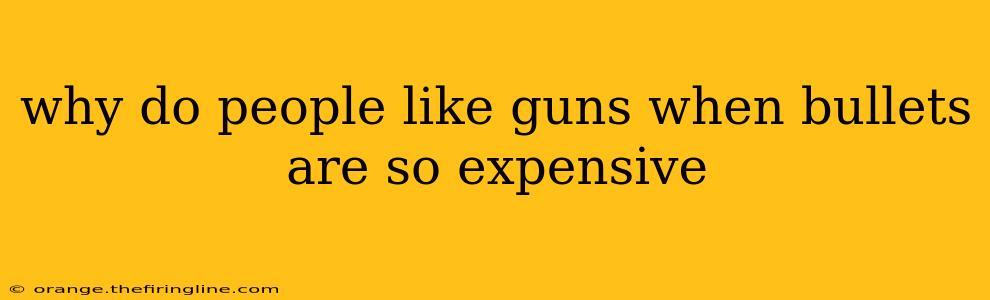 why do people like guns when bullets are so expensive