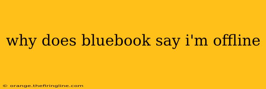 why does bluebook say i'm offline