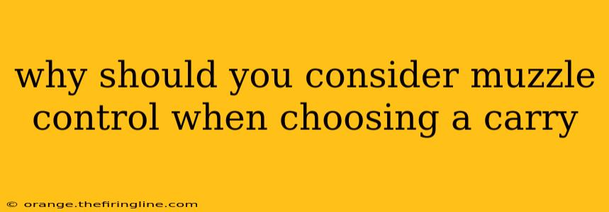 why should you consider muzzle control when choosing a carry