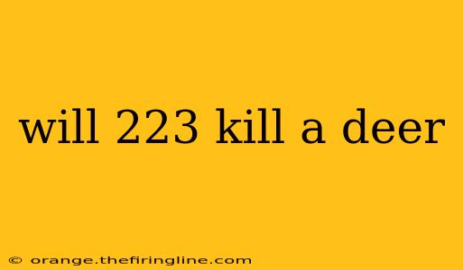 will 223 kill a deer