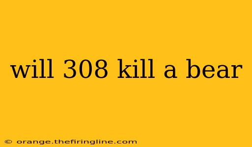 will 308 kill a bear