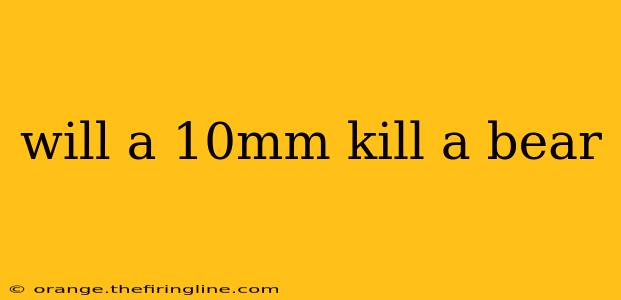 will a 10mm kill a bear