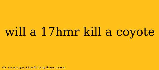 will a 17hmr kill a coyote