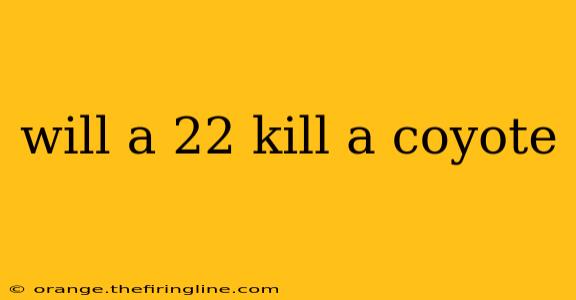 will a 22 kill a coyote