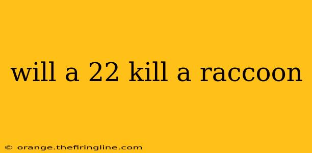 will a 22 kill a raccoon