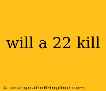 will a 22 kill