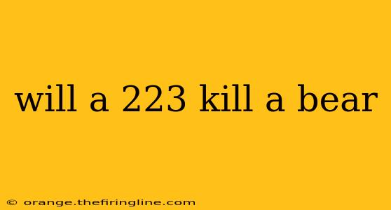 will a 223 kill a bear