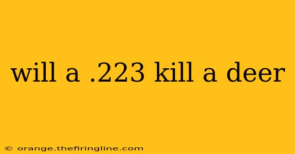 will a .223 kill a deer