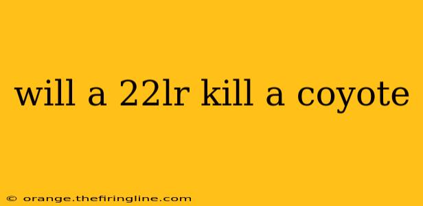 will a 22lr kill a coyote