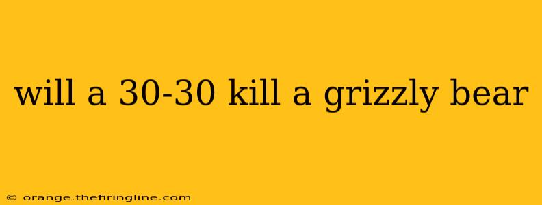 will a 30-30 kill a grizzly bear