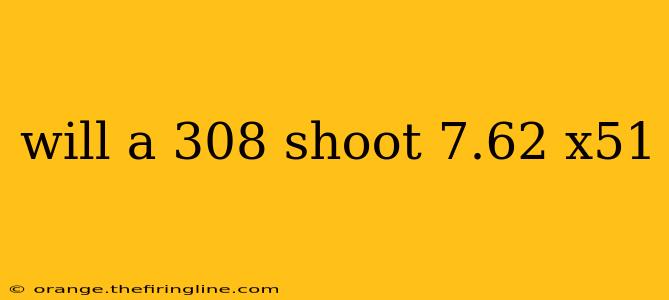 will a 308 shoot 7.62 x51