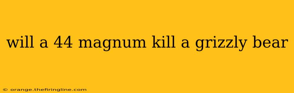 will a 44 magnum kill a grizzly bear