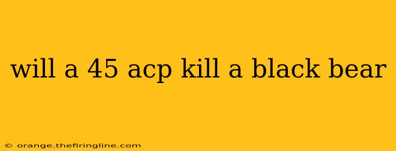 will a 45 acp kill a black bear