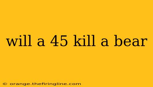 will a 45 kill a bear