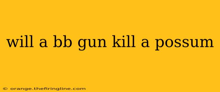 will a bb gun kill a possum