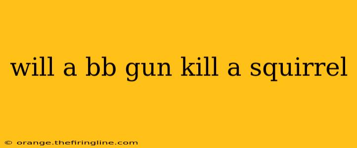 will a bb gun kill a squirrel