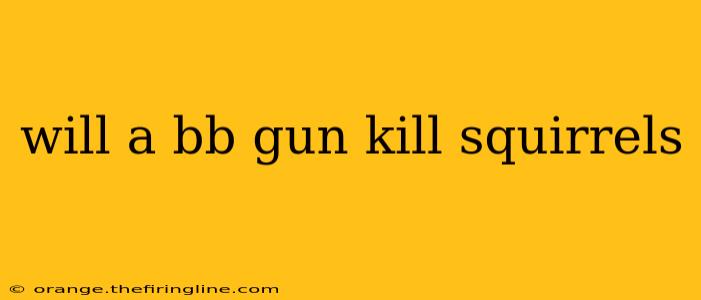 will a bb gun kill squirrels