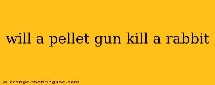 will a pellet gun kill a rabbit