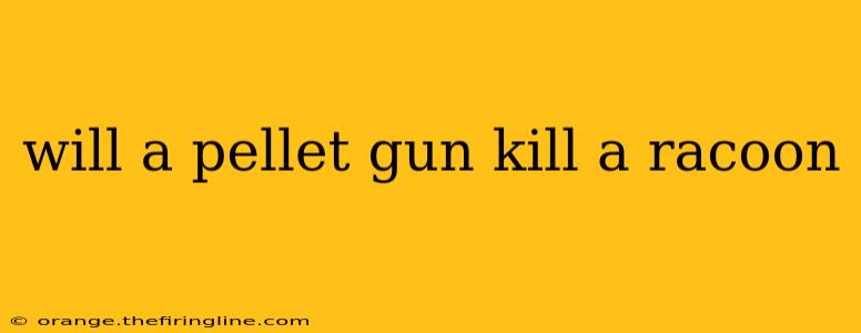 will a pellet gun kill a racoon