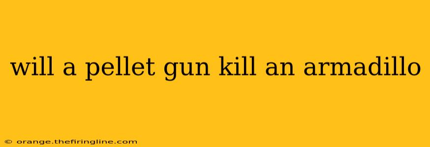 will a pellet gun kill an armadillo