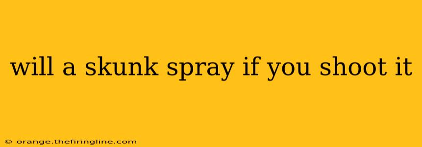 will a skunk spray if you shoot it