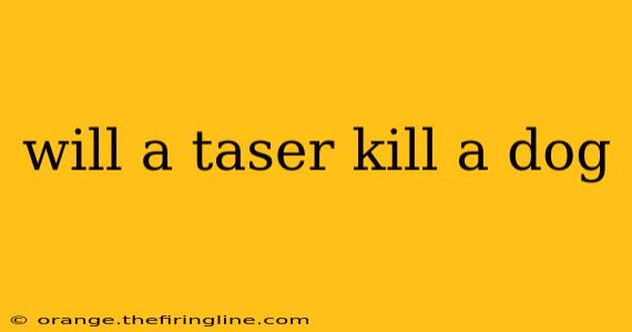 will a taser kill a dog