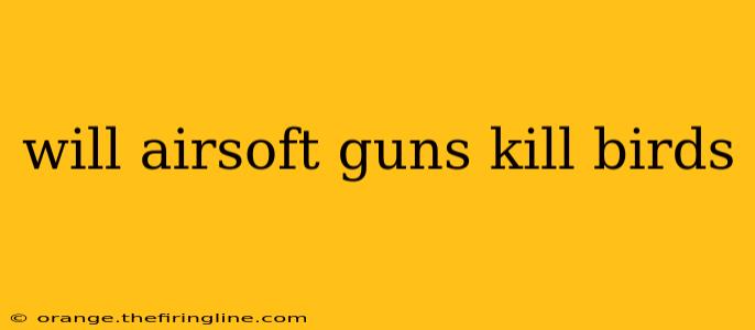 will airsoft guns kill birds