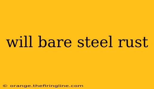 will bare steel rust