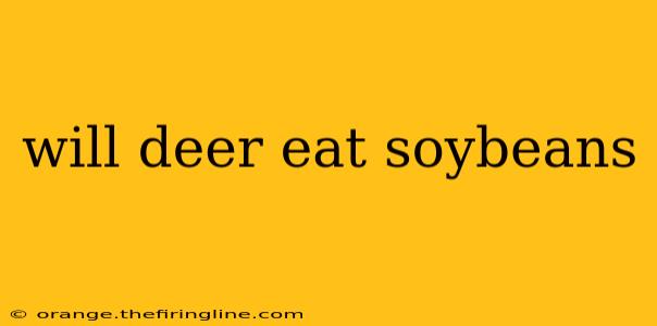 will deer eat soybeans