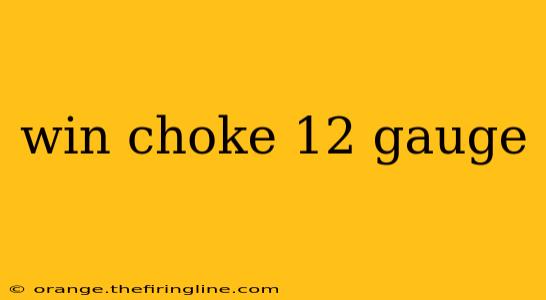 win choke 12 gauge