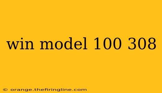 win model 100 308