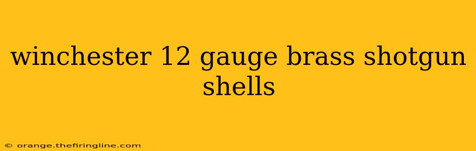 winchester 12 gauge brass shotgun shells