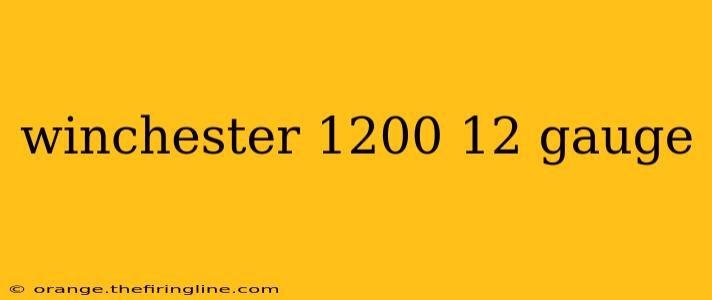 winchester 1200 12 gauge