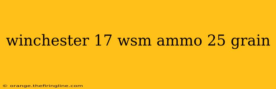 winchester 17 wsm ammo 25 grain