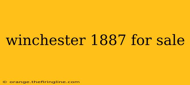 winchester 1887 for sale