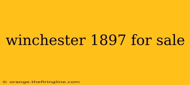 winchester 1897 for sale