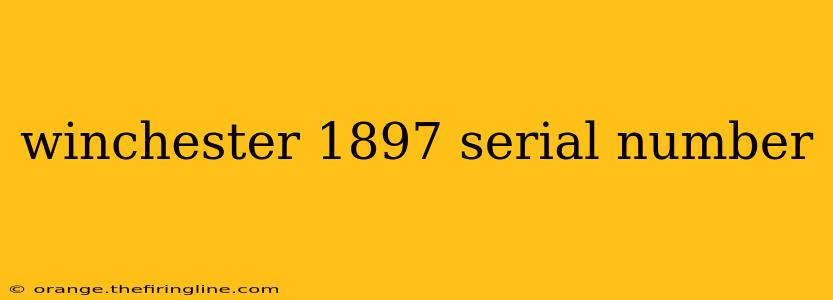 winchester 1897 serial number