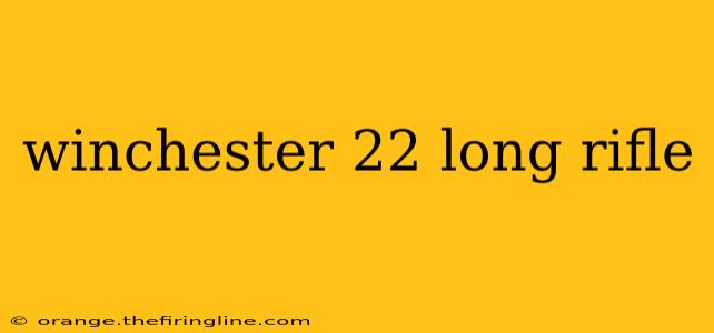 winchester 22 long rifle