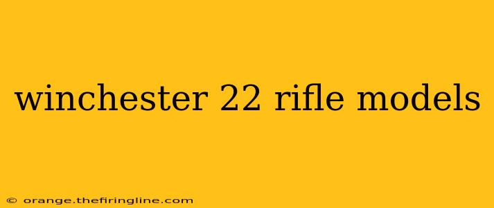 winchester 22 rifle models