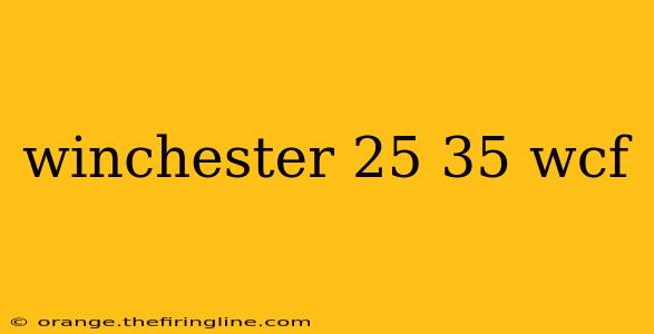 winchester 25 35 wcf