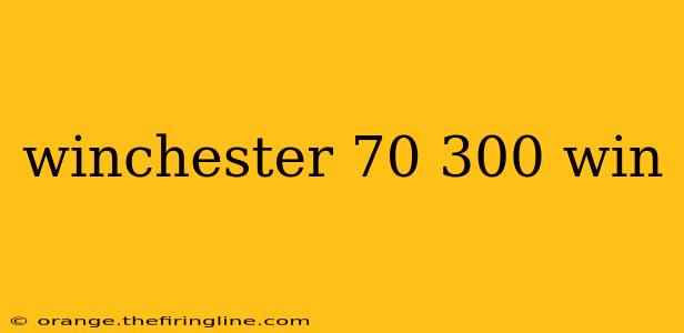 winchester 70 300 win