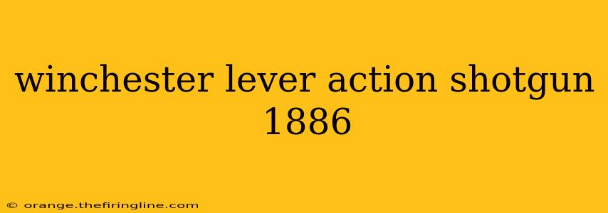 winchester lever action shotgun 1886