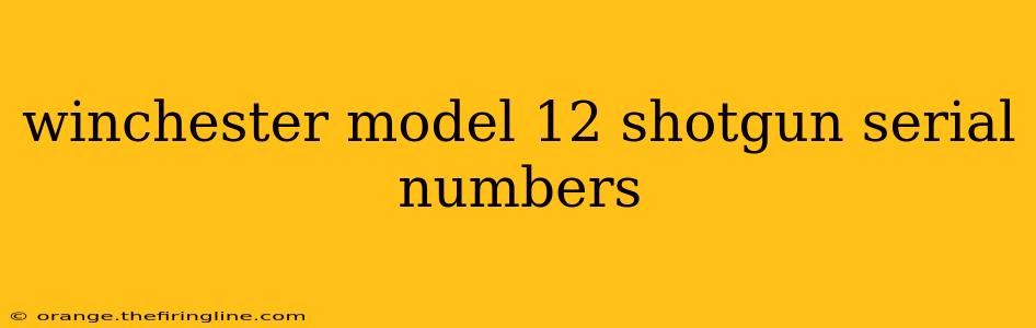 winchester model 12 shotgun serial numbers